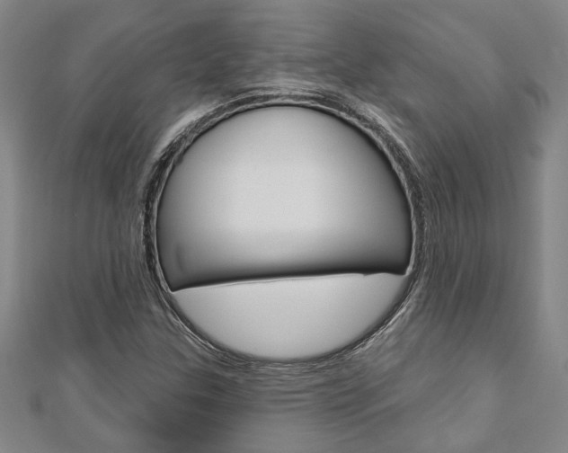 X0000110961307200906191041