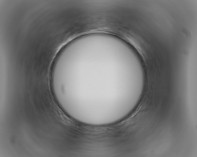 X0000110961308200906191041