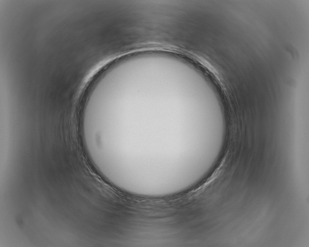 X0000110961310200906191041