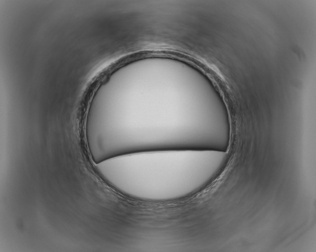 X0000110961311200906191041