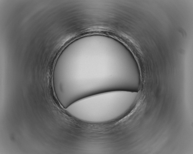 X0000110961313200906191041