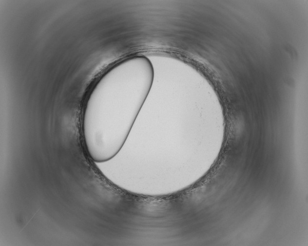 X0000110961314200906191041