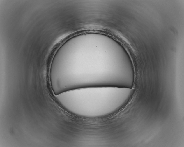 X0000110961315200906191041