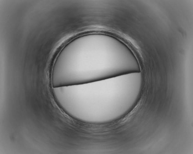 X0000110961318200906191041