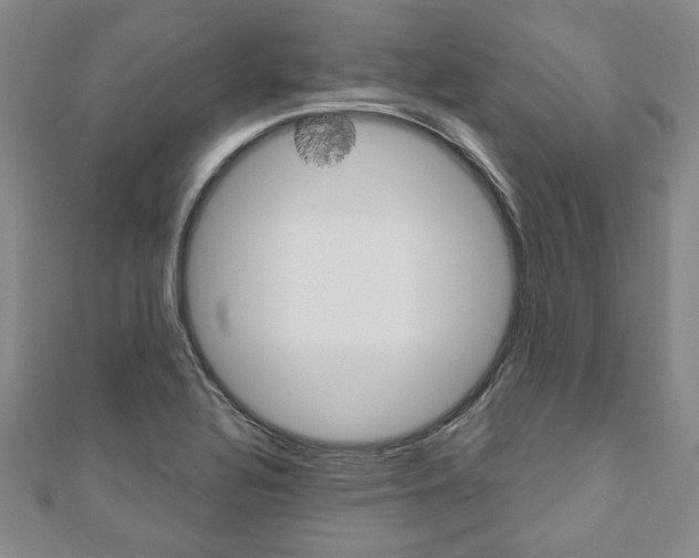 X0000110961320200906191041