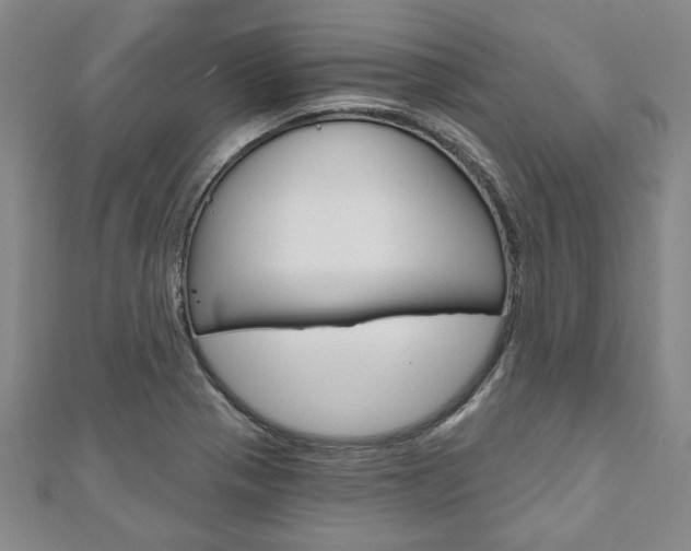 X0000110961321200906191041