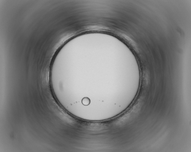 X0000110961322200906191041