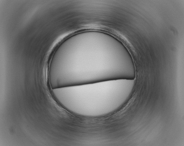 X0000110961323200906191041