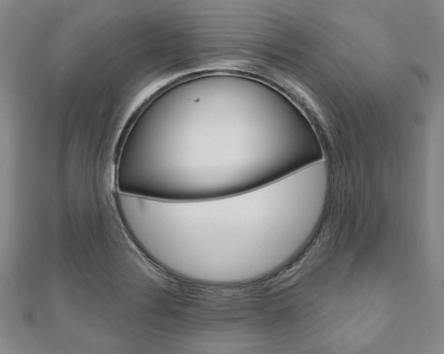 X0000110961324200906191041