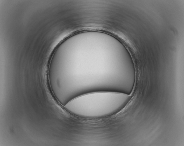 X0000110961325200906191041