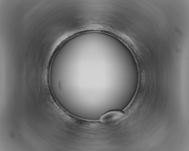 X0000110961326200906191041