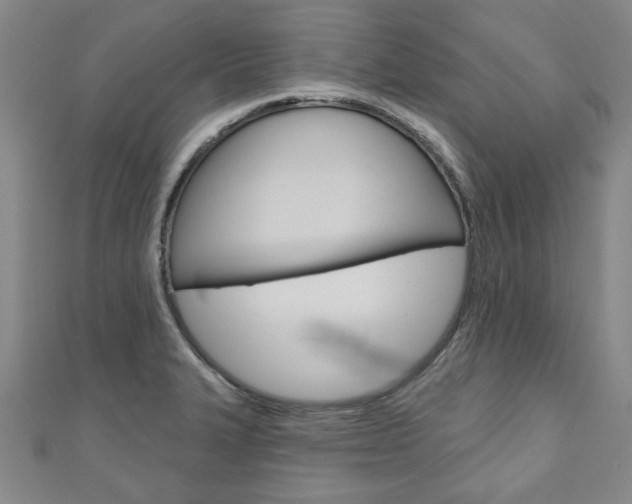 X0000110961327200906191041