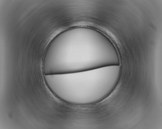 X0000110961329200906191041
