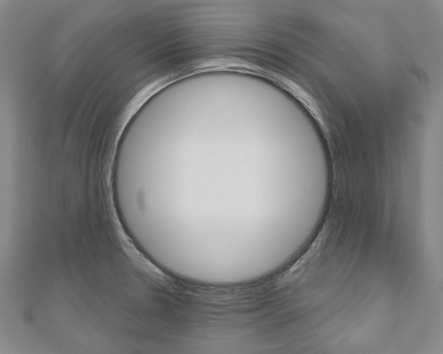 X0000110961330200906191041