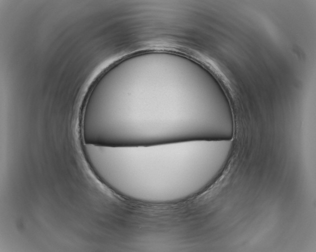X0000110961331200906191041