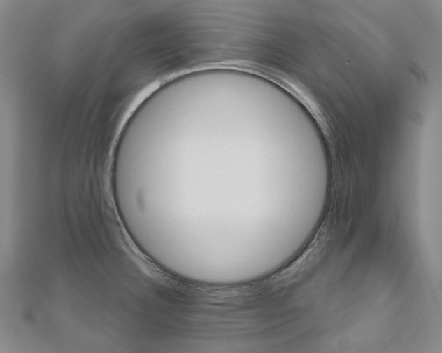 X0000110961332200906191041