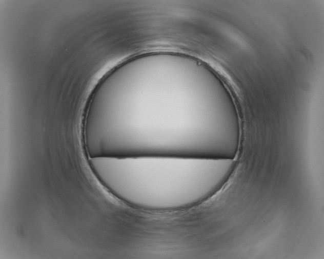 X0000110961333200906191041