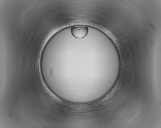 X0000110961334200906191041