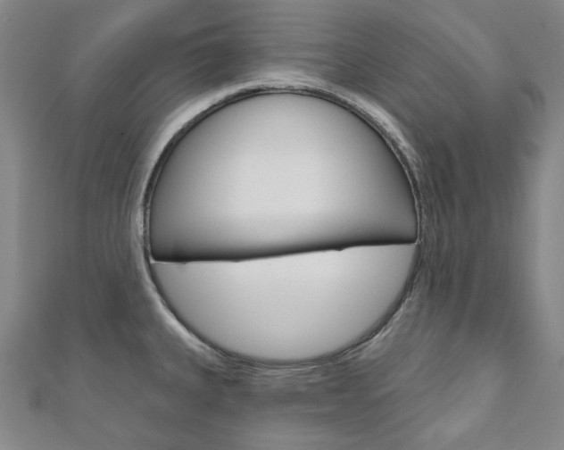 X0000110961335200906191041
