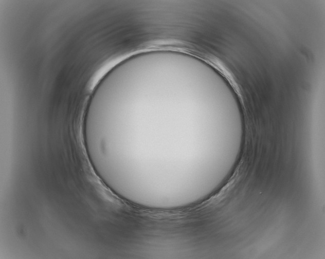 X0000110961336200906191041