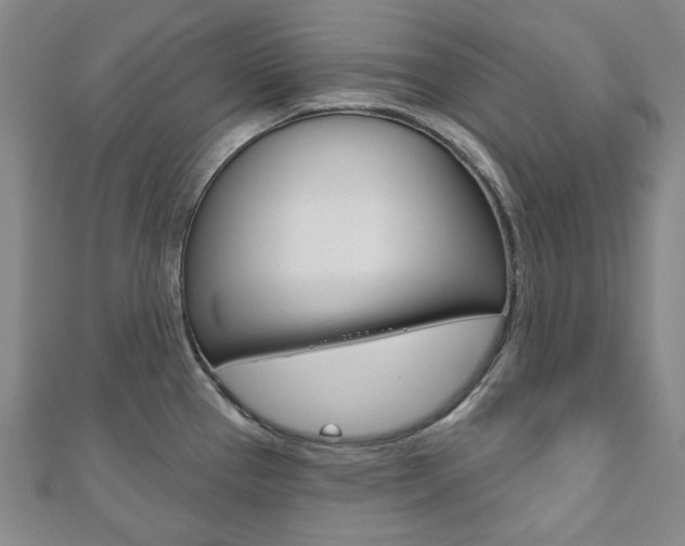 X0000110961337200906191041