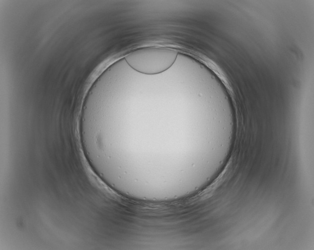 X0000110961338200906191041