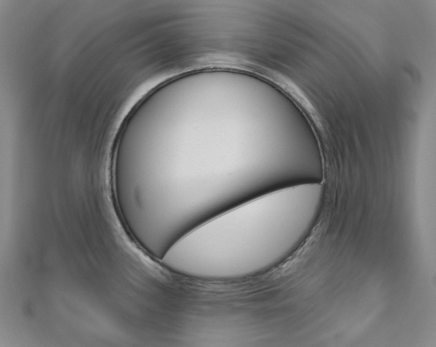 X0000110961339200906191041