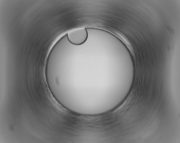 X0000110961340200906191041