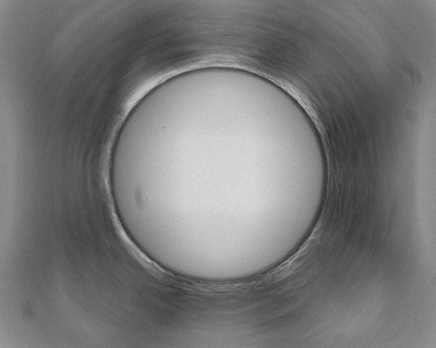 X0000110961342200906191041