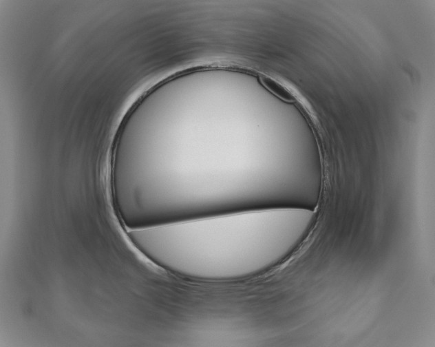 X0000110961343200906191041