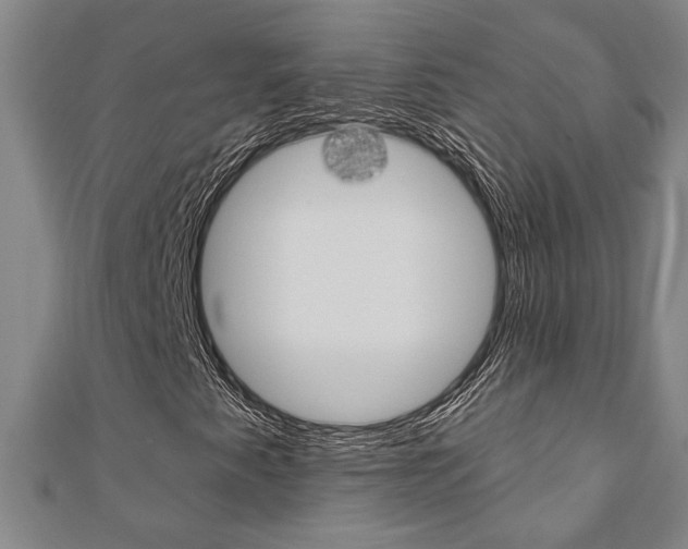 X0000110961345200906191041