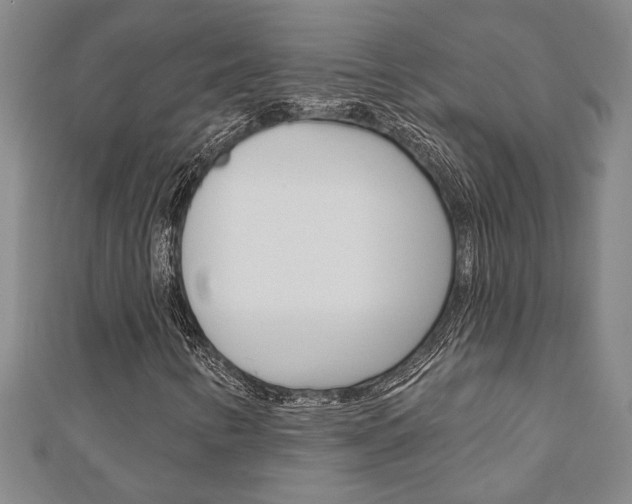 X0000110961346200906191041