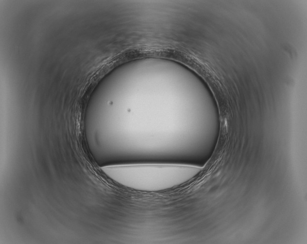 X0000110961348200906191041