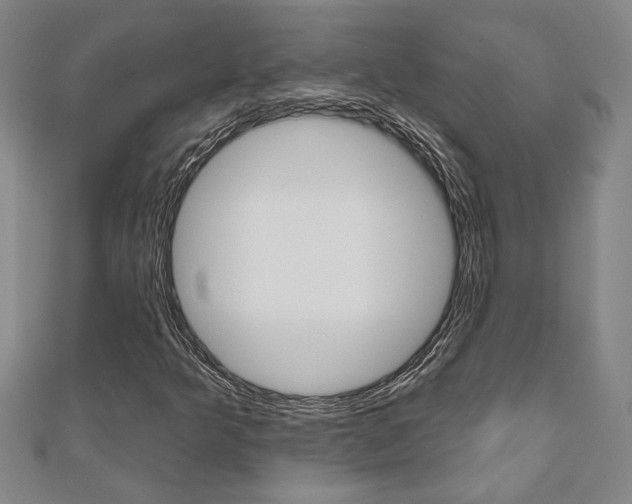 X0000110961349200906191041