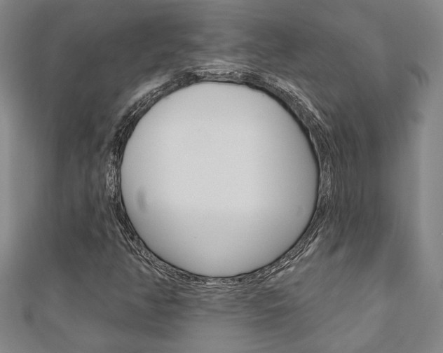 X0000110961350200906191041