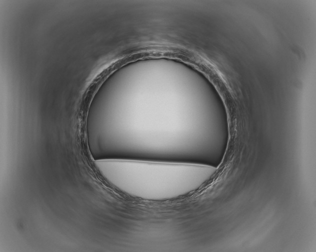 X0000110961352200906191041