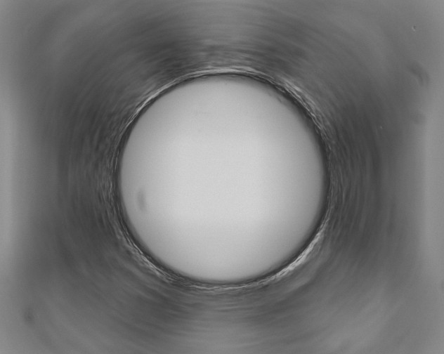 X0000110961353200906191041