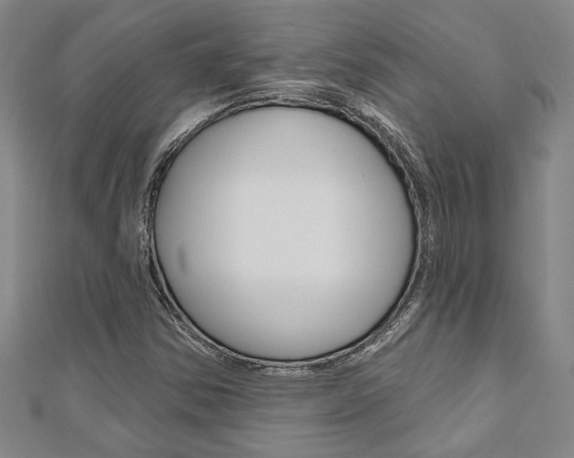 X0000110961354200906191041