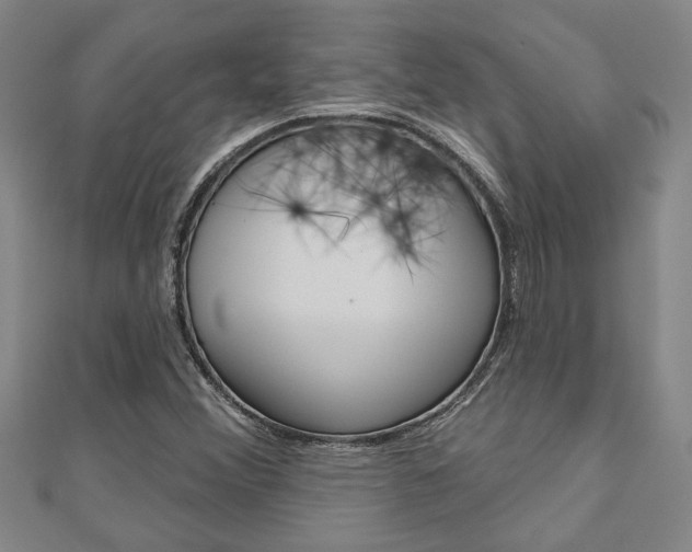 X0000110961356200906191041