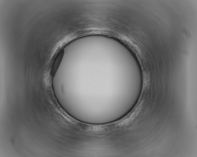 X0000110961357200906191041