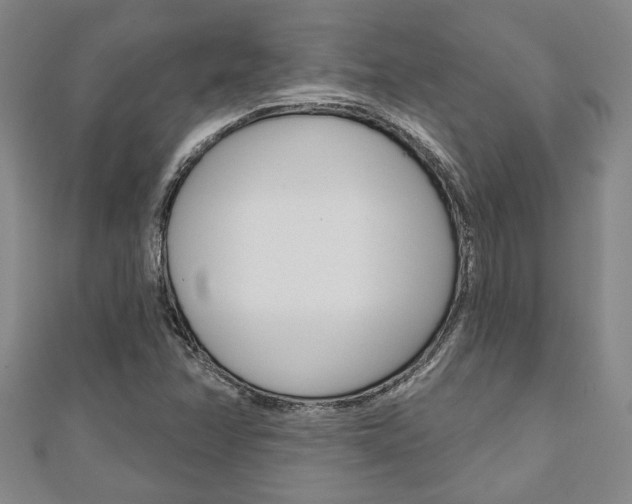 X0000110961358200906191041