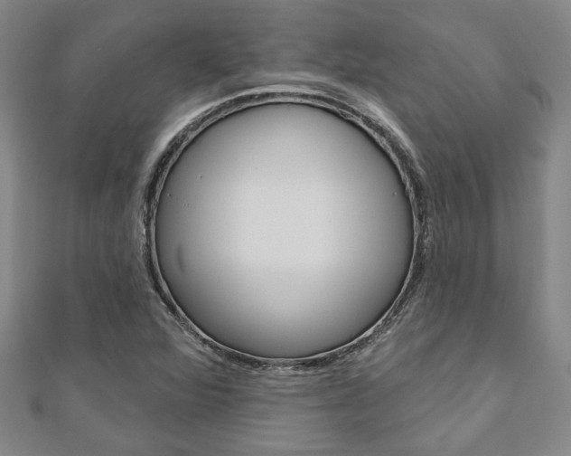 X0000110961360200906191041