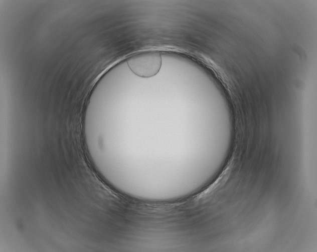 X0000110961361200906191041