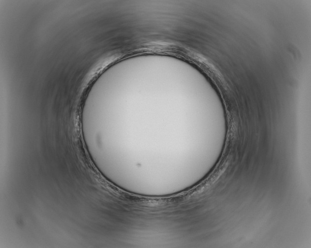 X0000110961362200906191041