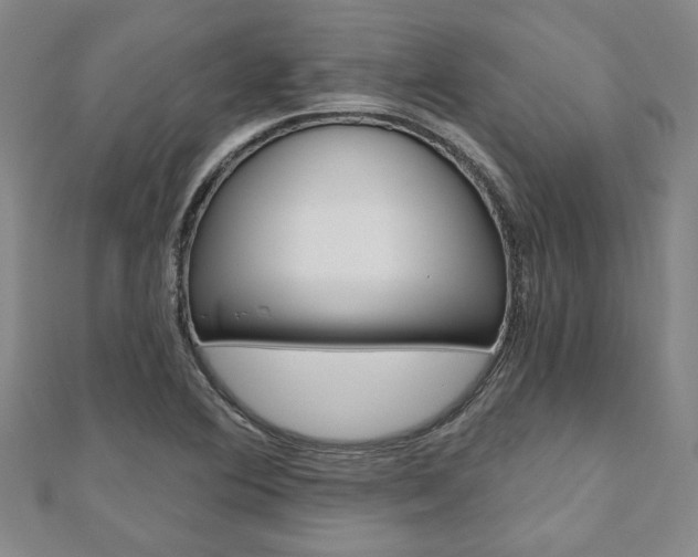 X0000110961364200906191041