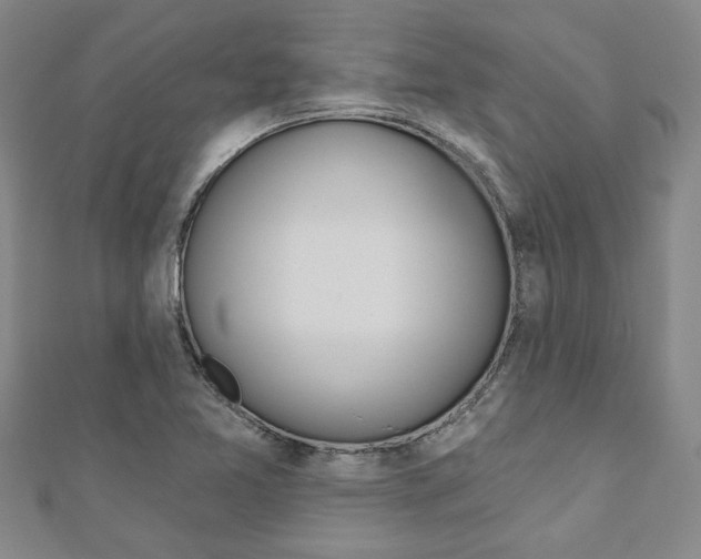 X0000110961365200906191041