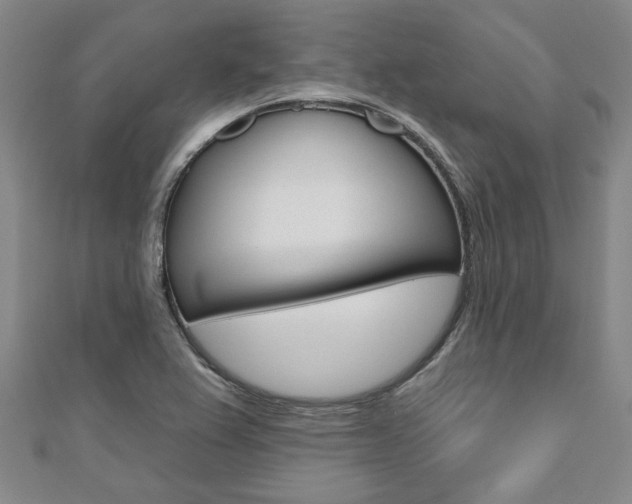 X0000110961367200906191041