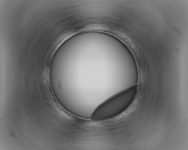 X0000110961369200906191041
