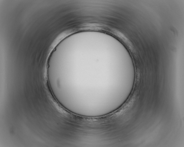 X0000110961370200906191041