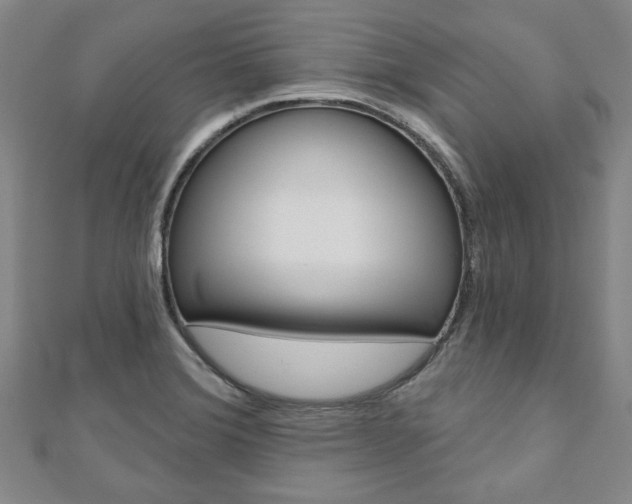 X0000110961372200906191041
